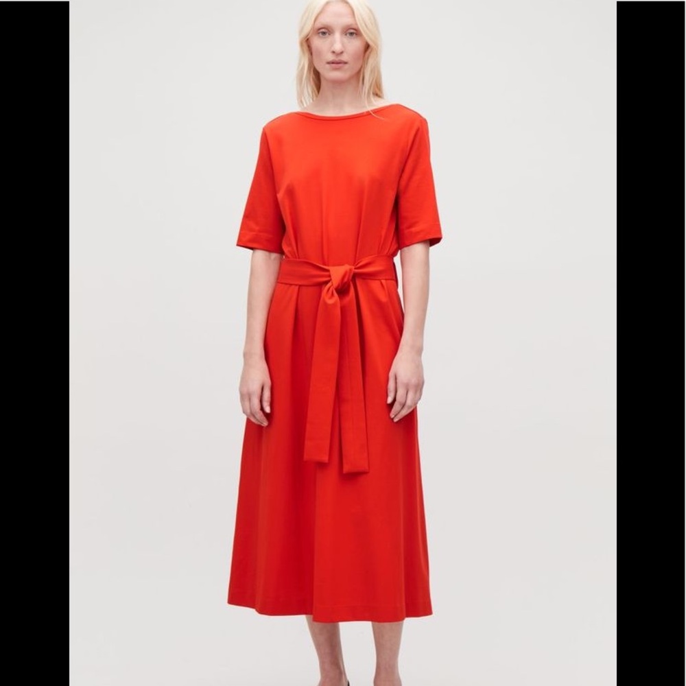 Beautiful  dress from Cos w tag size L